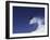 Male Snowboarder Flying Through the Air-null-Framed Premium Photographic Print