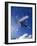 Male Snowboarder Flying Throught the Air-null-Framed Photographic Print