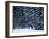 Male Snowboarder in Action-null-Framed Premium Photographic Print