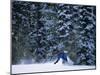 Male Snowboarder in Action-null-Mounted Premium Photographic Print