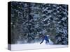 Male Snowboarder in Action-null-Stretched Canvas