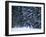 Male Snowboarder in Action-null-Framed Photographic Print
