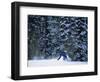 Male Snowboarder in Action-null-Framed Photographic Print