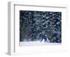 Male Snowboarder in Action-null-Framed Photographic Print