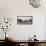 Male Southern elephant seal after breeding period on the Falkland Islands.-Martin Zwick-Framed Stretched Canvas displayed on a wall