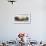 Male Southern elephant seal after breeding period on the Falkland Islands.-Martin Zwick-Framed Photographic Print displayed on a wall