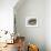 Male Southern elephant seal after breeding period on the Falkland Islands.-Martin Zwick-Framed Photographic Print displayed on a wall