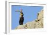 Male Spanish Ibex (Capra Pyrenaica) on Rocks, Sierra De Gredos, Spain, November 2008-Widstrand-Framed Photographic Print