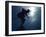 Male Speed Skater in Action at the Start-null-Framed Premium Photographic Print