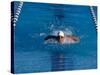 Male Swimmer Competing in a Butterfly Race-null-Stretched Canvas