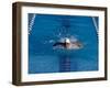 Male Swimmer Competing in a Butterfly Race-null-Framed Photographic Print