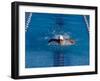 Male Swimmer Competing in a Butterfly Race-null-Framed Photographic Print