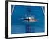 Male Swimmer Competing in a Butterfly Race-null-Framed Photographic Print