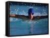 Male Swimmer Competing in Abutterfly Race-null-Framed Stretched Canvas