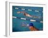 Male Swimmer Competing in Abutterfly Race-null-Framed Photographic Print