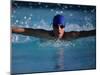 Male Swimmer Competing in Abutterfly Race-null-Mounted Photographic Print