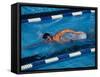 Male Swimmer in Action-null-Framed Stretched Canvas