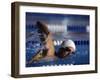 Male Swimmer in Action-null-Framed Photographic Print