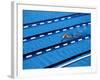 Male Swimmer Training Doing Laps in the Pool-null-Framed Photographic Print