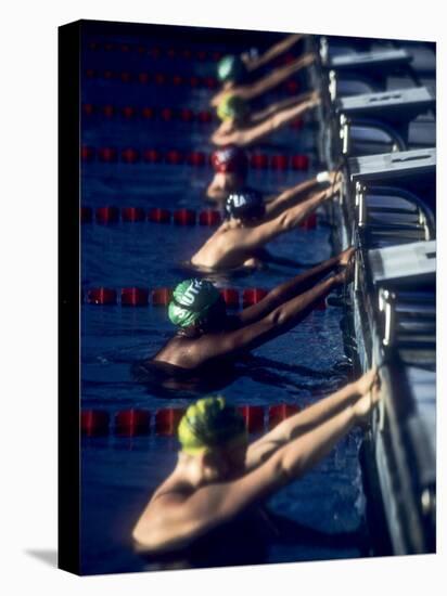 Male Swimmers at the Start of a Race-null-Stretched Canvas