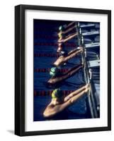 Male Swimmers at the Start of a Race-null-Framed Photographic Print