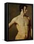 Male Torso, circa 1800-Jean-Auguste-Dominique Ingres-Framed Stretched Canvas