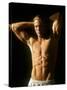 Male Torso-null-Stretched Canvas