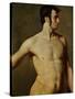 Male Torso-Jean-Auguste-Dominique Ingres-Stretched Canvas