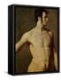 Male Torso-Jean-Auguste-Dominique Ingres-Framed Stretched Canvas