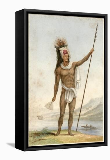 Male Type, Noble Savage-John Williams-Framed Stretched Canvas