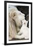 Male White Lion And Cub-Tony Camacho-Framed Photographic Print