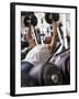 Male Working Out with Weights in a Health Club, Rutland, Vermont, USA-Chris Trotman-Framed Photographic Print