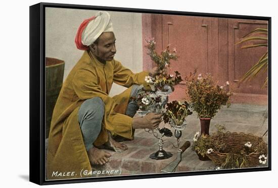 Malee, North African Gardener with Bouquets-null-Framed Stretched Canvas