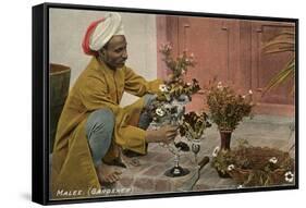 Malee, North African Gardener with Bouquets-null-Framed Stretched Canvas