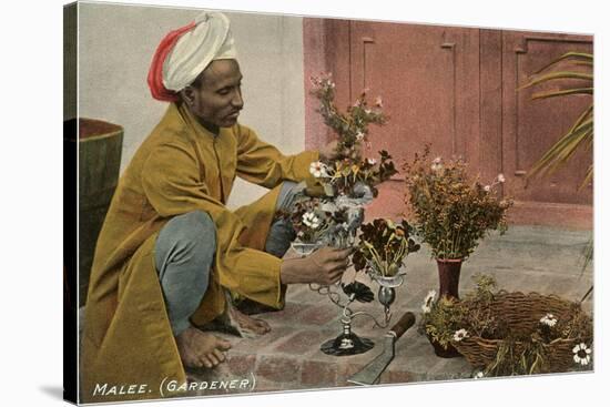 Malee, North African Gardener with Bouquets-null-Stretched Canvas