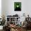 Maleficent-David Brodsky-Framed Stretched Canvas displayed on a wall