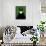 Maleficent-David Brodsky-Framed Stretched Canvas displayed on a wall