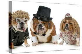 Males Bulldog With Two Females All Dressed In Formal Clothing Isolated On White Background-Willee Cole-Stretched Canvas