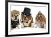 Males Bulldog With Two Females All Dressed In Formal Clothing Isolated On White Background-Willee Cole-Framed Photographic Print