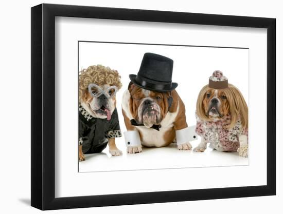 Males Bulldog With Two Females All Dressed In Formal Clothing Isolated On White Background-Willee Cole-Framed Photographic Print