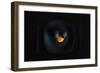 Malevich's breakfast. Or the black square.-Victoria Ivanova-Framed Premium Photographic Print