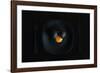 Malevich's breakfast. Or the black square.-Victoria Ivanova-Framed Photographic Print