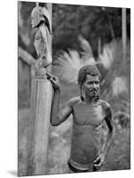 Malformation of the Ears, Solomon Islands, 1920-JW Beattie-Mounted Giclee Print