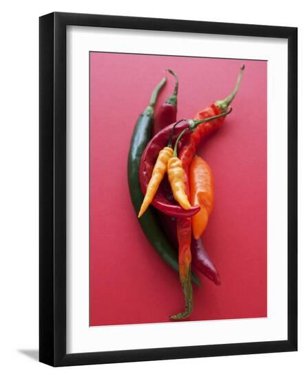 Premium Photographic Print, , large