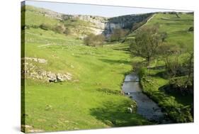 Malham Cove, Yorkshire Dales-Bob Gibbons-Stretched Canvas