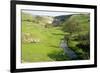 Malham Cove, Yorkshire Dales-Bob Gibbons-Framed Photographic Print