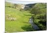 Malham Cove, Yorkshire Dales-Bob Gibbons-Mounted Photographic Print