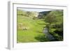 Malham Cove, Yorkshire Dales-Bob Gibbons-Framed Photographic Print