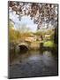 Malham Village in Autumn, Yorkshire Dales, Yorkshire, England, United Kingdom, Europe-Mark Sunderland-Mounted Photographic Print