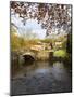 Malham Village in Autumn, Yorkshire Dales, Yorkshire, England, United Kingdom, Europe-Mark Sunderland-Mounted Photographic Print